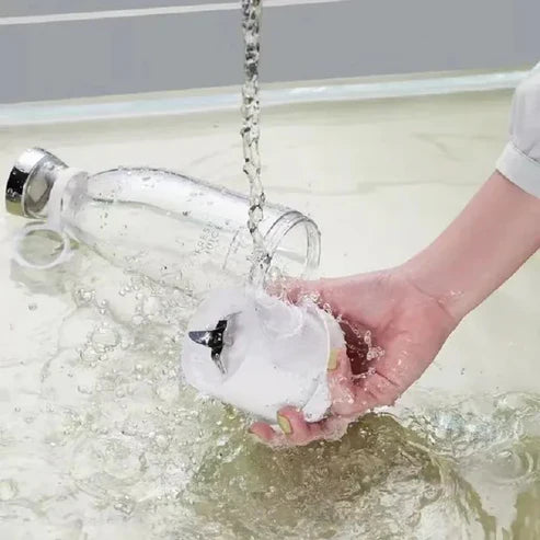 Portable Juicer Blander